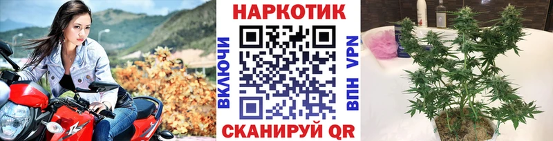 Наркошоп купить Гашиш Конопля МДМА A-PVP МЕФ COCAIN Острогожск