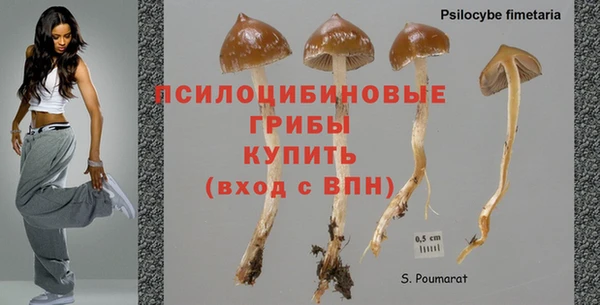 мдпв Верея