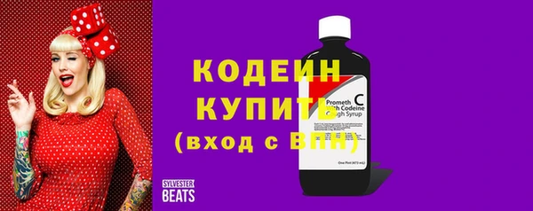соль ск Верхний Тагил