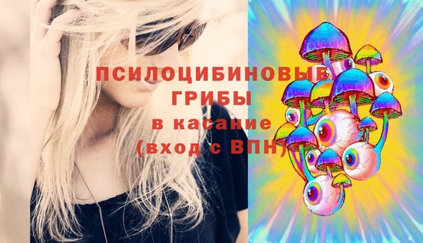 ГАЛЛЮЦИНОГЕННЫЕ ГРИБЫ Верхнеуральск