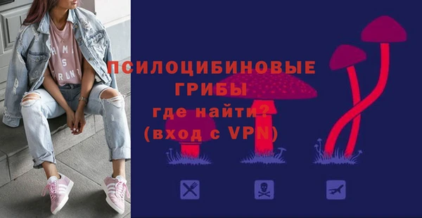ГАЛЛЮЦИНОГЕННЫЕ ГРИБЫ Верхнеуральск