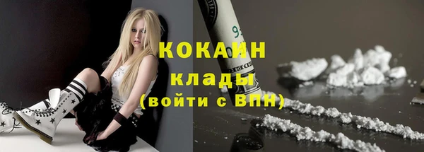 мдпв Верея