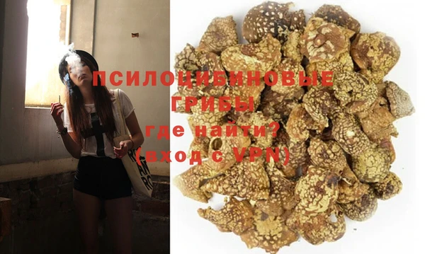 мдпв Верея