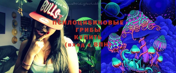 мдпв Верея