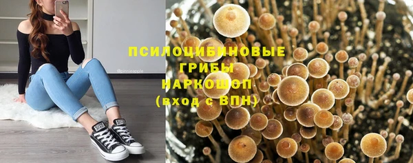 соль ск Верхний Тагил