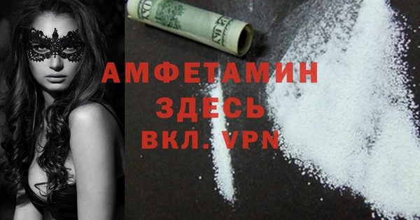 мдпв Верея
