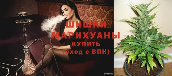 ГАЛЛЮЦИНОГЕННЫЕ ГРИБЫ Верхнеуральск