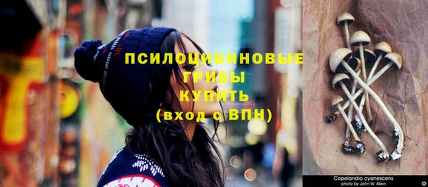 мдпв Верея