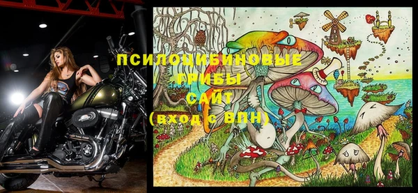 мдпв Верея